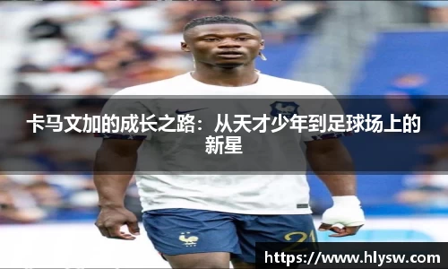 好博体育登陆人口